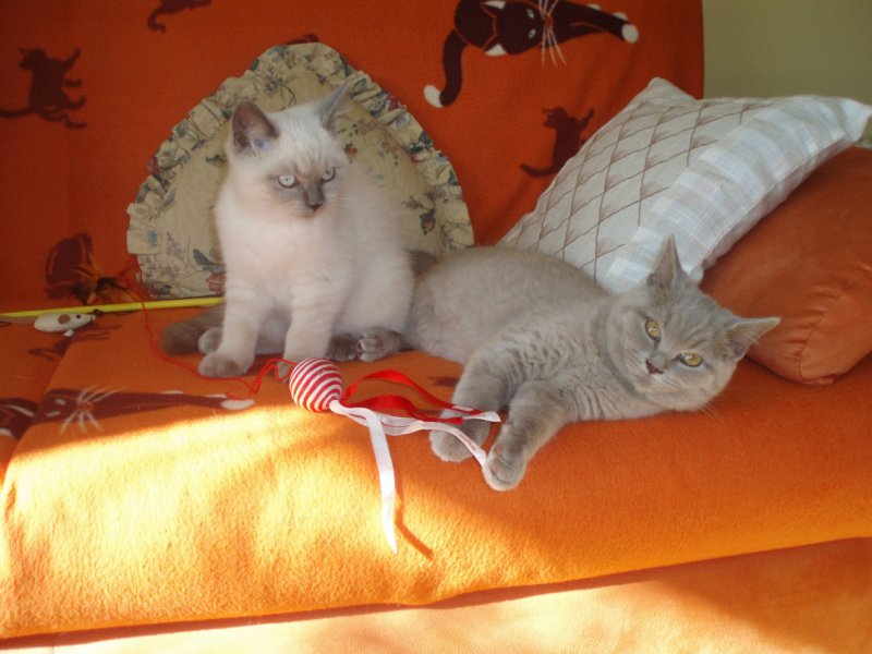 chłopczyk i dziewczynka